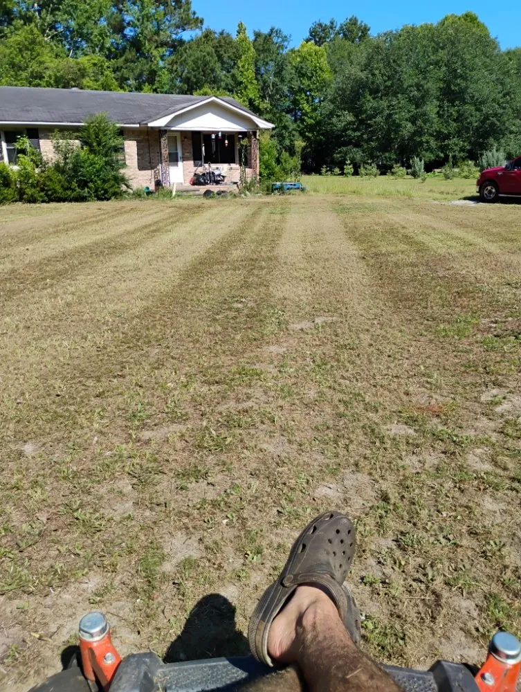 Affordable garden landscaping near you across Bishopville, SC - Helms Lawn and Shrubs