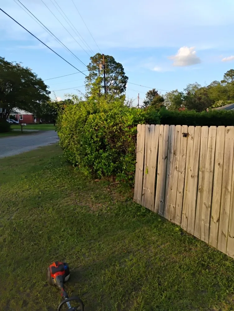 Affordable lawn care service near you across Bishopville, SC - Helms Lawn and Shrubs