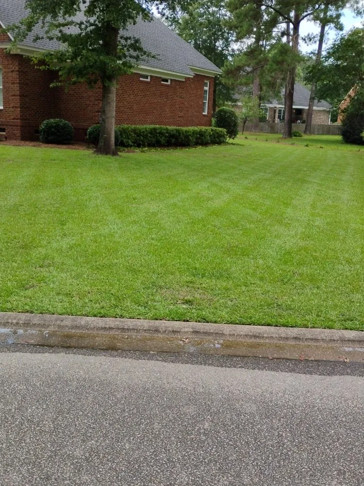 Top-rated outdoor landscaping in Bishopville, SC by Helms Lawn and Shrubs