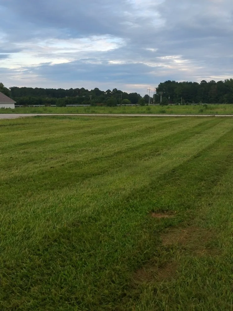 Top-rated garden landscaping for residential properties across Bishopville, SC - Helms Lawn and Shrubs