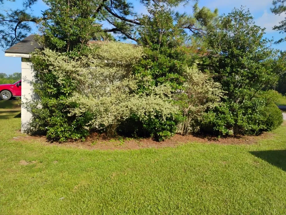Trusted garden landscaping experts serving Bishopville, SC - Helms Lawn and Shrubs