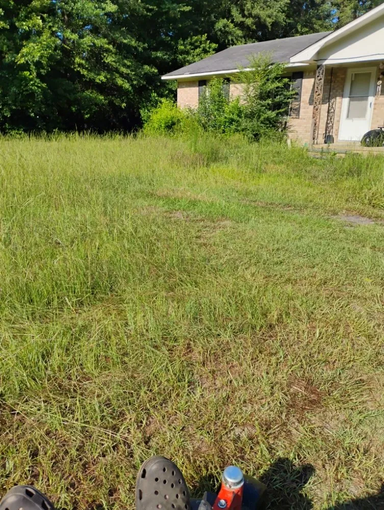 Custom landscape installation experts serving Bishopville, SC - Helms Lawn and Shrubs