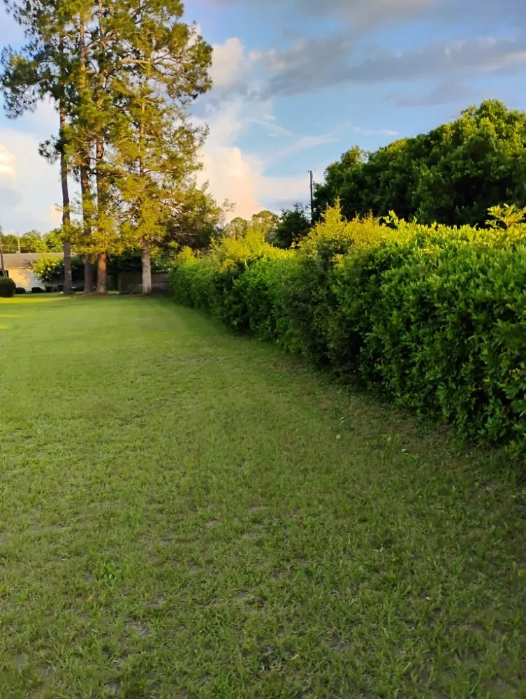 Reliable garden landscaping in Bishopville, SC - Helms Lawn and Shrubs