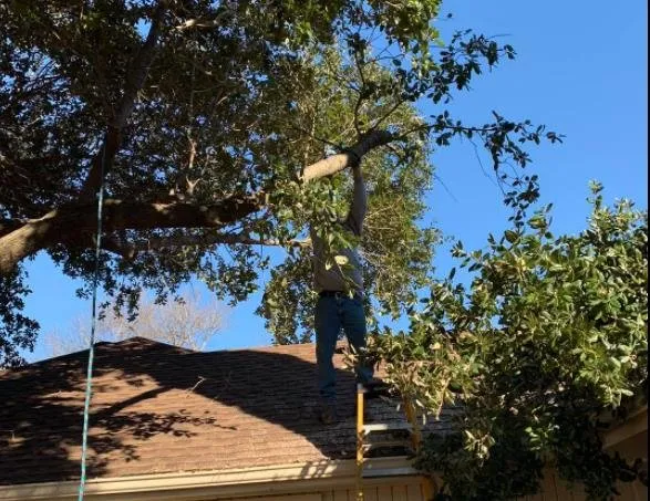 Professional outdoor landscaping for year-round maintenance across Forney, TX - Helms Trail Tree Trimming and Property Management