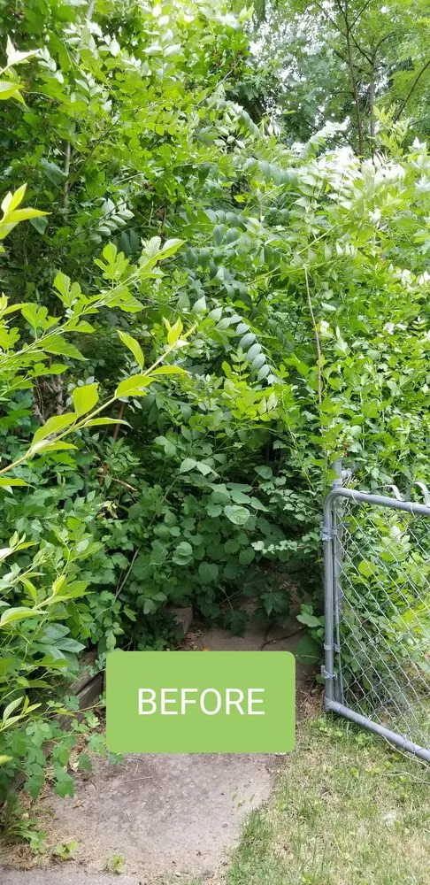 Reliable residential landscaping in Olathe, KS by Help From A Friend