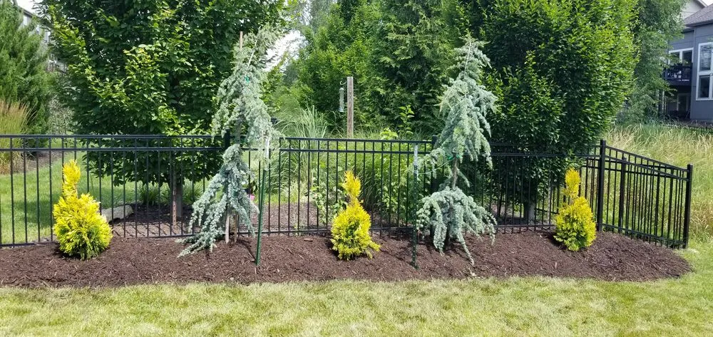 Trusted yard maintenance experts serving Olathe, KS - Help From A Friend