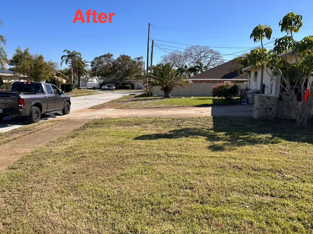 Reliable lawn mowing service experts serving Clearwater, FL - Help is Here Lawn Care