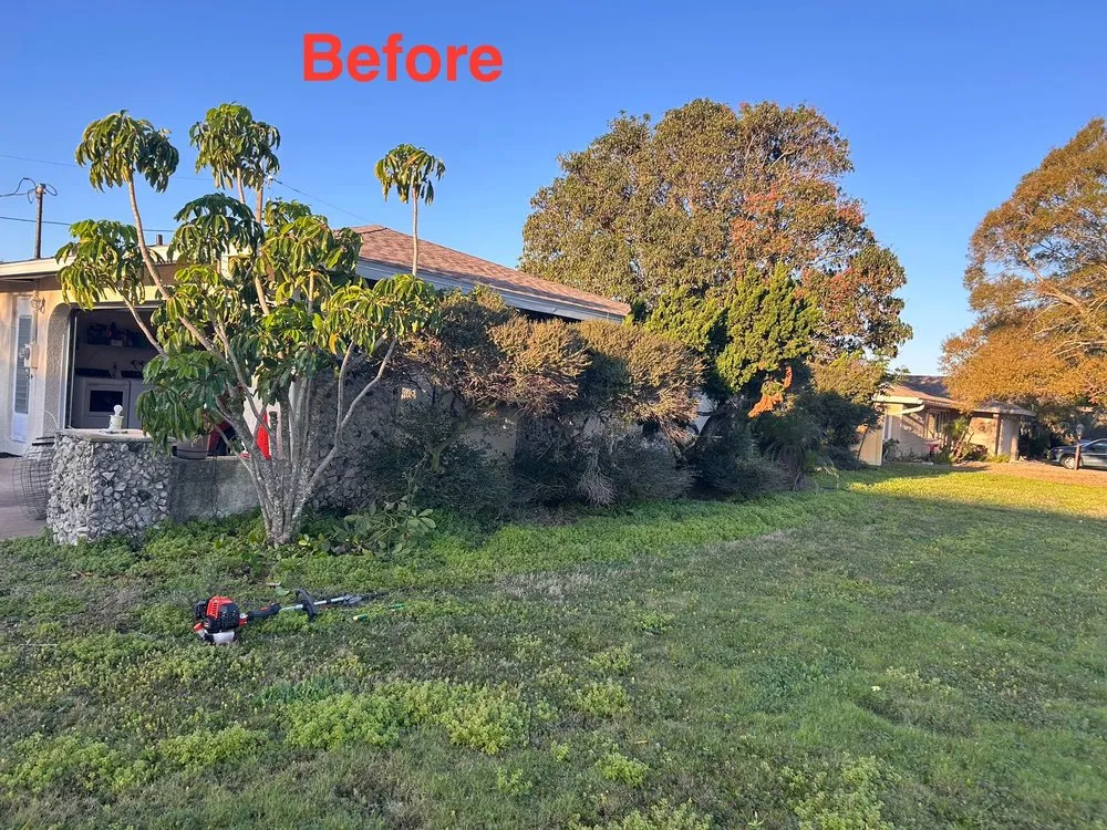 Trusted garden landscaping for beautiful yards across Clearwater, FL - Help is Here Lawn Care