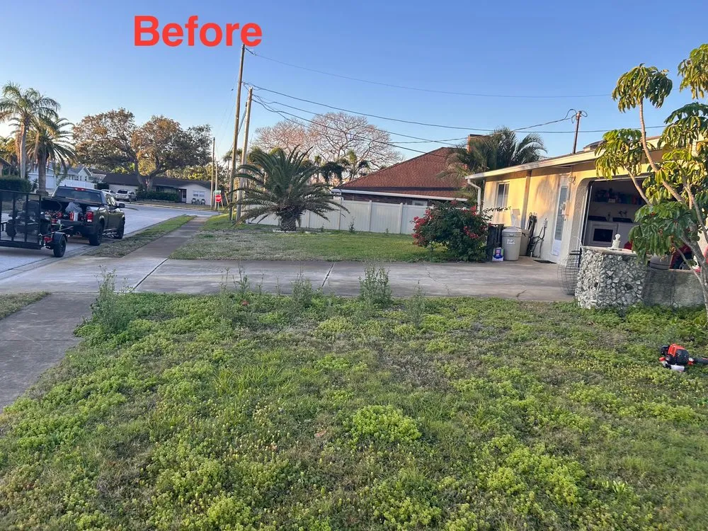 Affordable yard maintenance for outdoor upgrades across Clearwater, FL - Help is Here Lawn Care