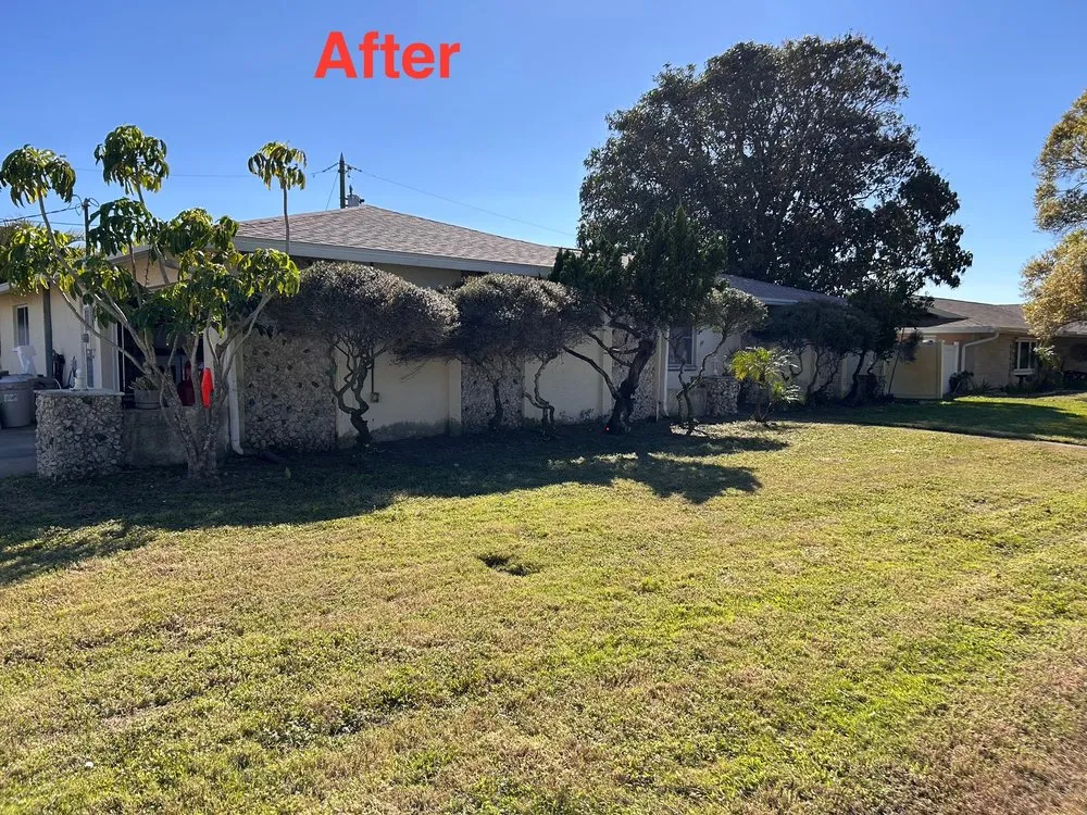 Reliable outdoor landscaping experts serving Clearwater, FL - Help is Here Lawn Care