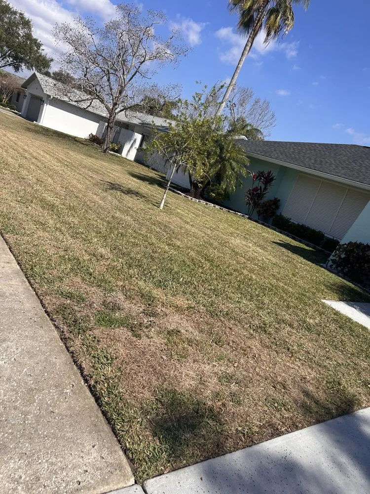 Professional yard maintenance for homes in Clearwater, FL by Help is Here Lawn Care