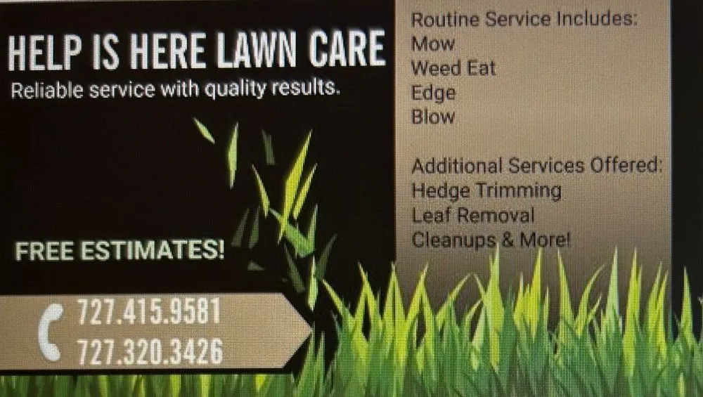 Affordable landscaping services experts serving Clearwater, FL - Help is Here Lawn Care