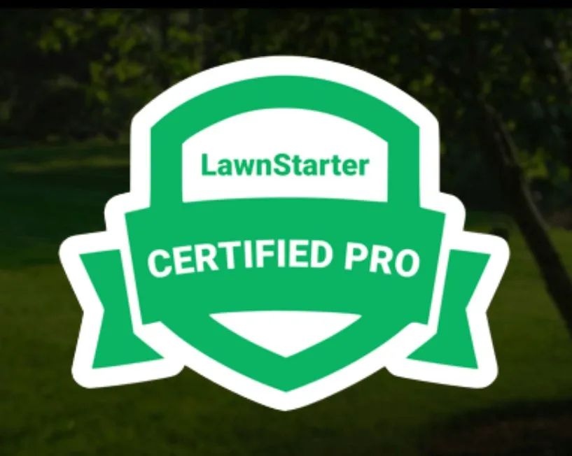 Custom landscape design for residential properties across Clearwater, FL - Help is Here Lawn Care