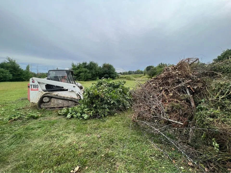 Professional yard cleanup service for year-round maintenance in Cable, OH by Helpful Hand