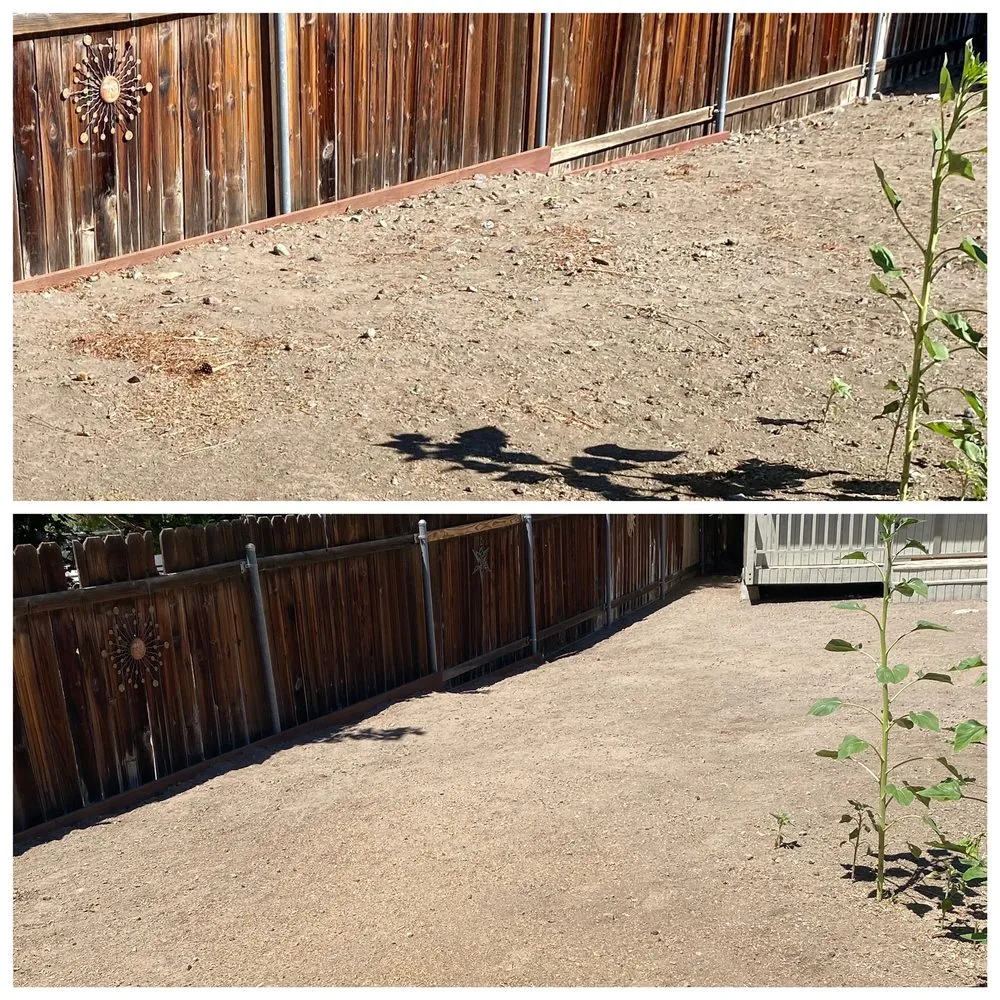 Expert yard maintenance for year-round maintenance across Sparks, NV - Helpful Hands Maintenance Services
