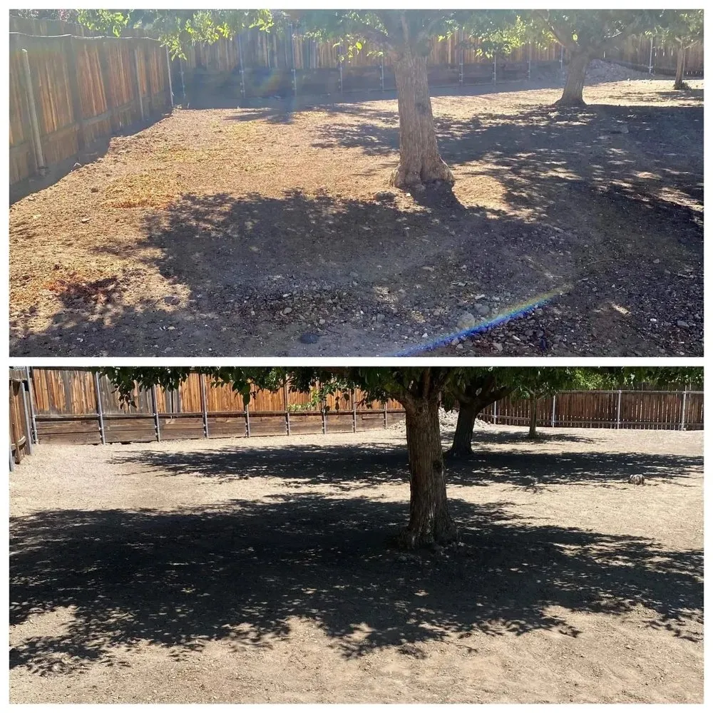 Affordable lawn mowing service in Sparks, NV by Helpful Hands Maintenance Services