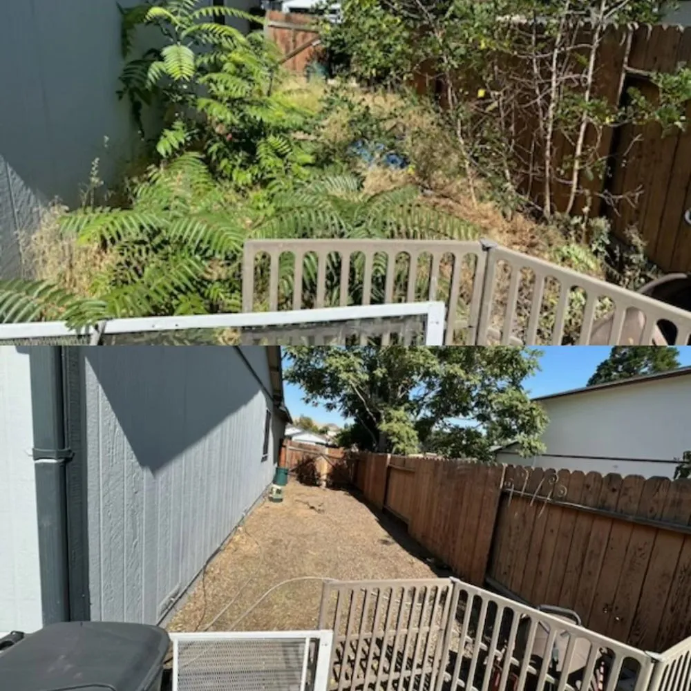 Custom landscape design experts serving Sparks, NV - Helpful Hands Maintenance Services