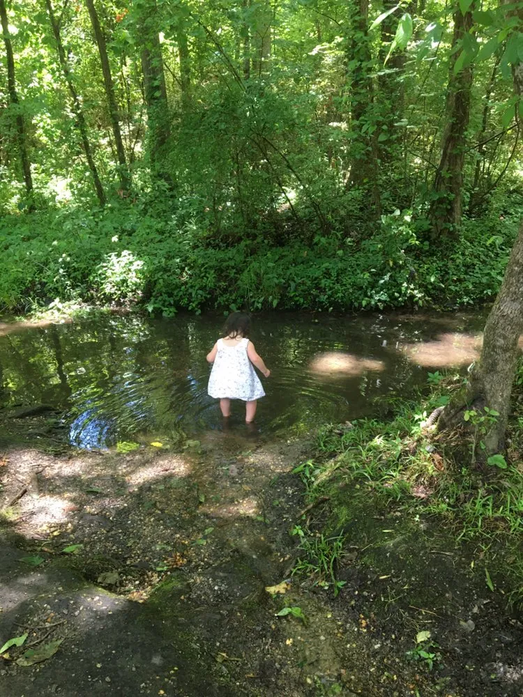 Expert outdoor landscaping for residential properties in Batesburg, SC by Helping & Jesus Lawn Care