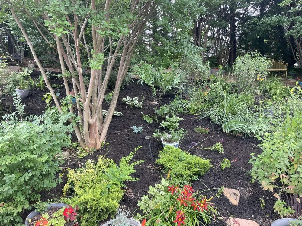 Reliable landscape design for residential properties across Knoxville, TN - Helping Hand Landscaping