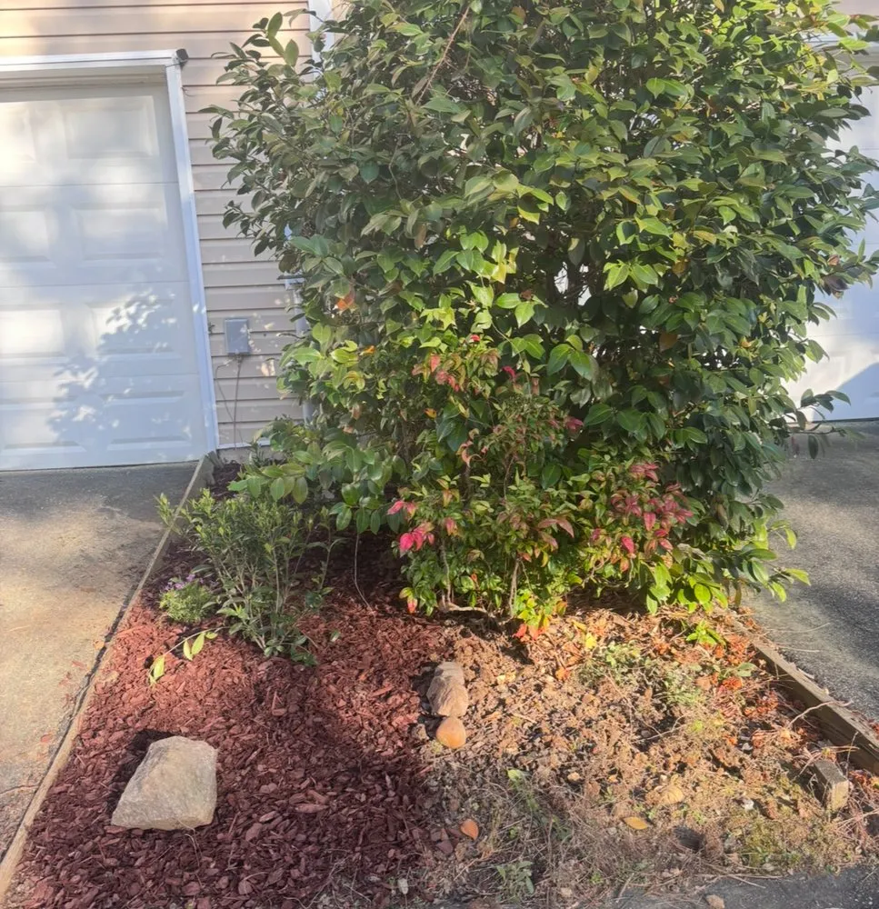 Top-rated landscape design in Colonial Heights, VA by Helping Hand Services