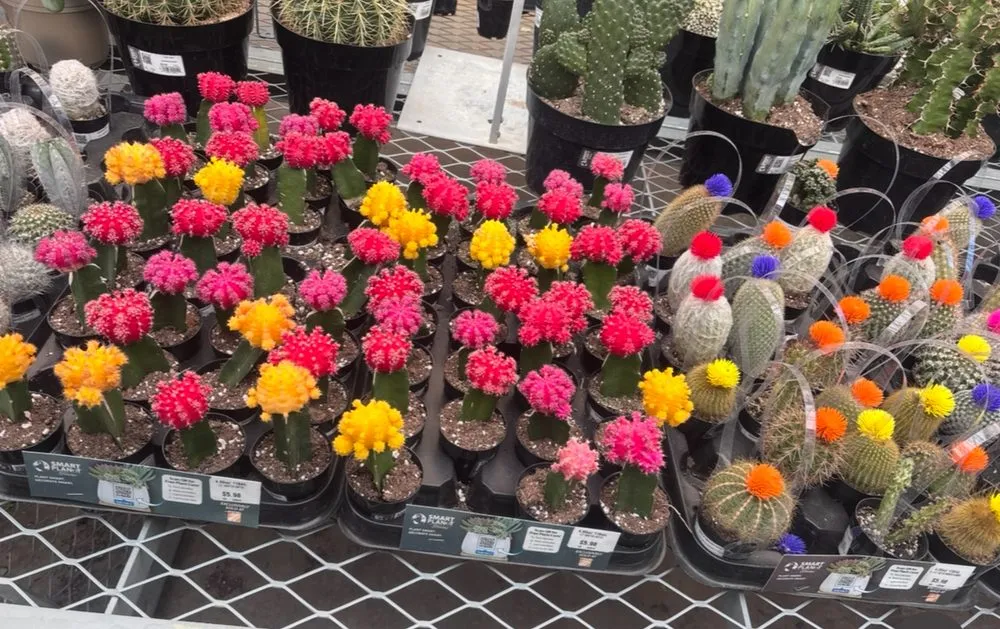 Custom lawn mowing service with custom design across Colonial Heights, VA - Helping Hand Services