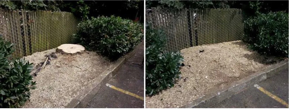 Expert landscape installation experts serving Randolph, MA - Helping Hand Specialist