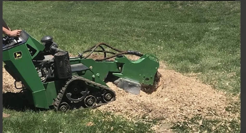 Expert landscape design for beautiful yards across Randolph, MA - Helping Hand Specialist