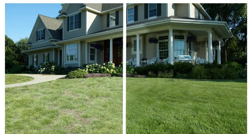 Local yard cleanup service for year-round maintenance in Randolph, MA by Helping Hand Specialist