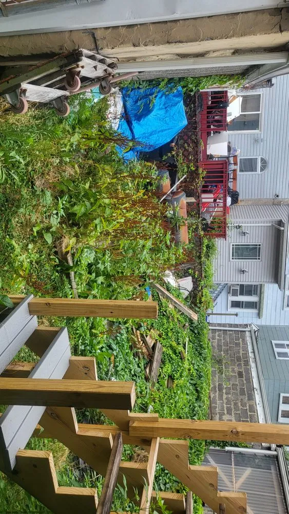 Affordable yard maintenance for outdoor upgrades in Philadelphia, PA by Helping Hands and more