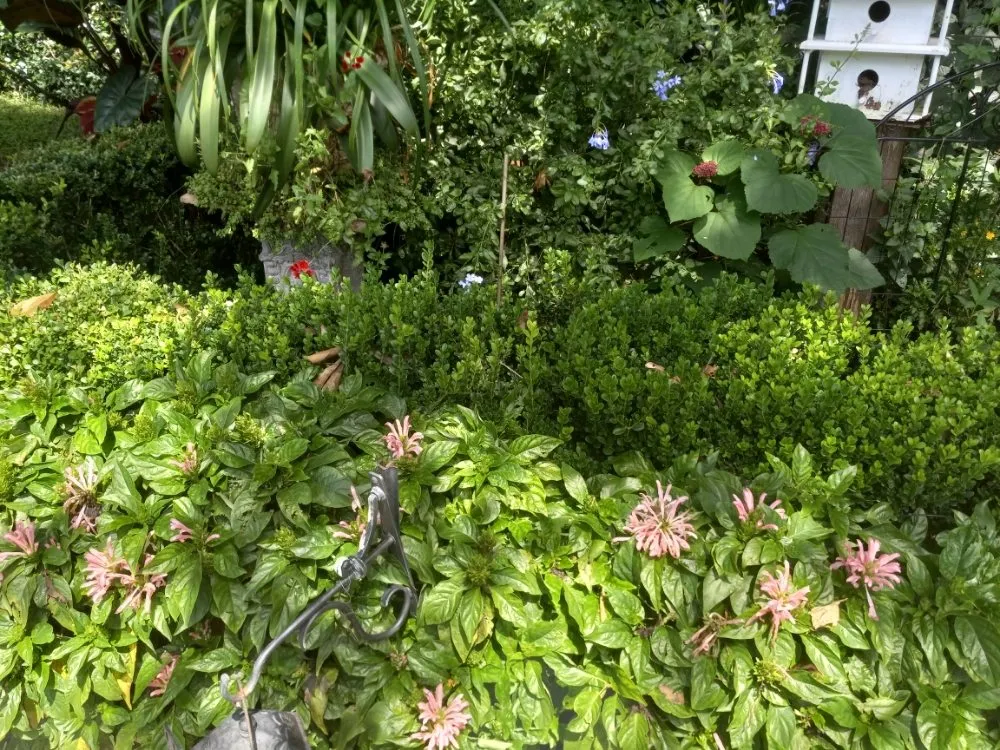 Trusted garden landscaping experts serving Scottsbluff, NE - Helping Hands Cleaning Service