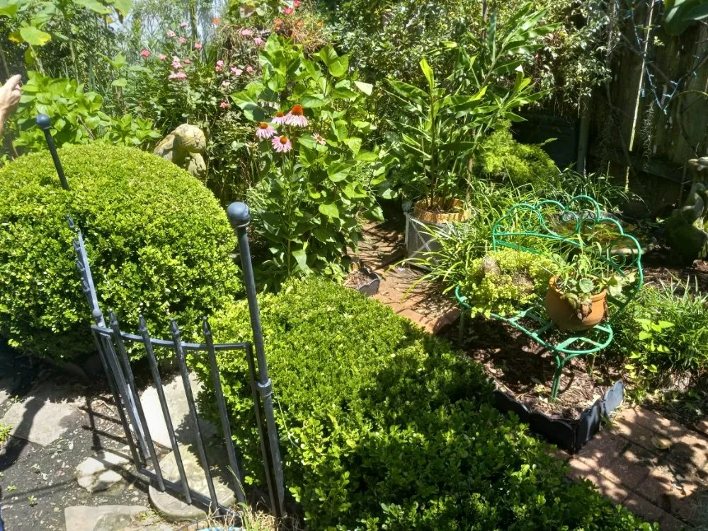 Expert outdoor landscaping in Scottsbluff, NE - Helping Hands Cleaning Service