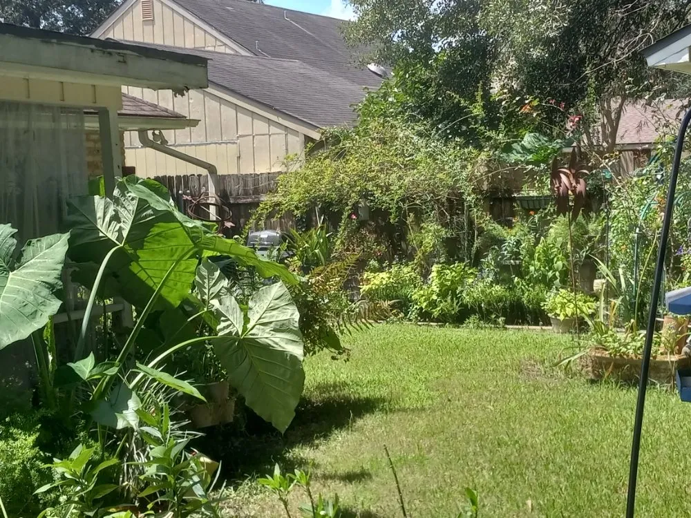 Reliable garden landscaping experts serving Scottsbluff, NE - Helping Hands Cleaning Service