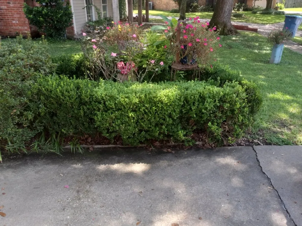 Custom residential landscaping in Scottsbluff, NE by Helping Hands Cleaning Service