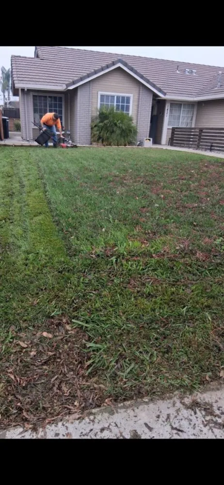 Top-rated lawn mowing service experts serving Crows Landing, CA - Helping Hands