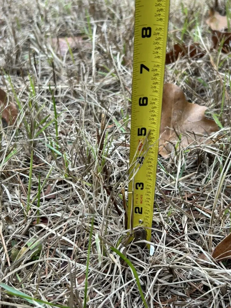 Affordable garden landscaping for homes in Diboll, TX by Helping Hands