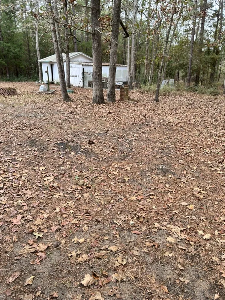 Professional residential landscaping for homes in Diboll, TX by Helping Hands