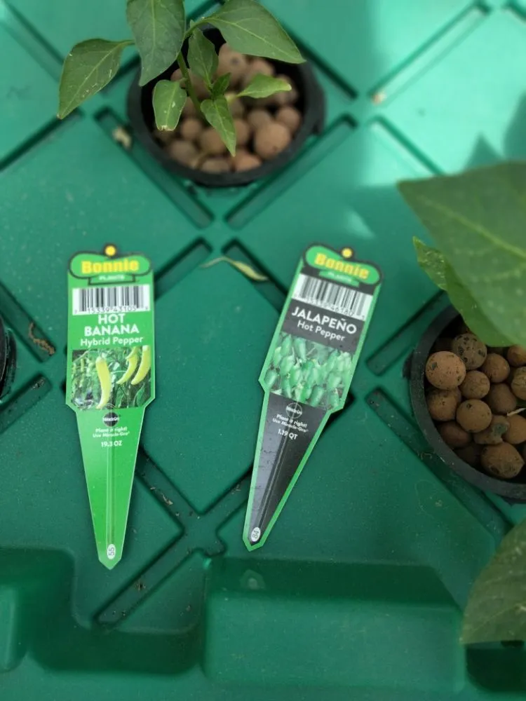 Trusted garden landscaping experts serving Diboll, TX - Helping Hands