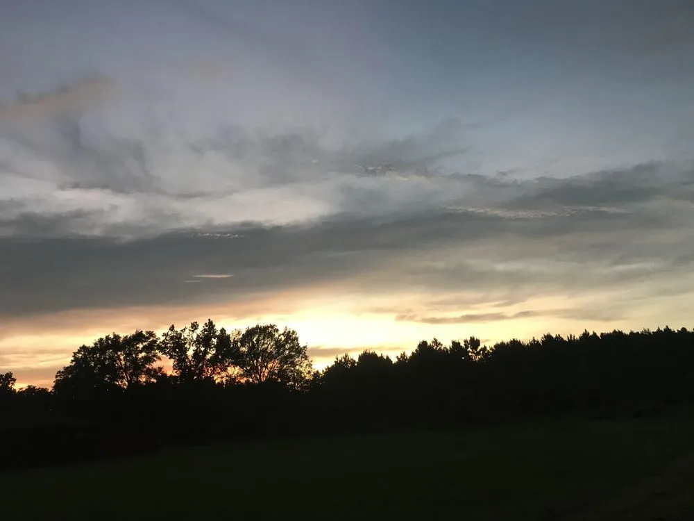 Trusted yard maintenance for year-round maintenance in Diboll, TX by Helping Hands