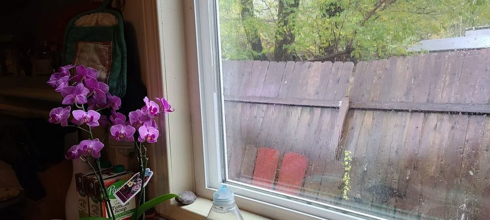 Top-rated residential landscaping in Grass Valley, CA by Helping Hands