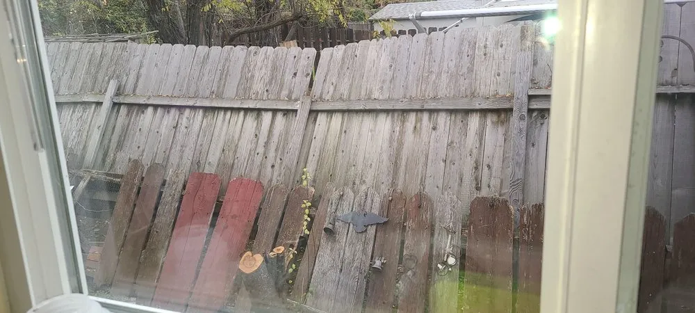 Top-rated yard maintenance in Grass Valley, CA by Helping Hands