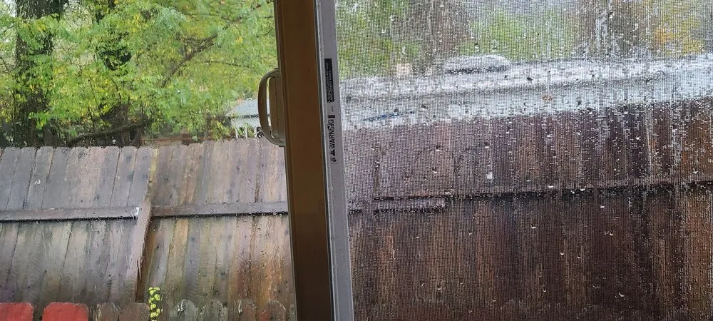 Trusted lawn care service for beautiful yards across Grass Valley, CA - Helping Hands