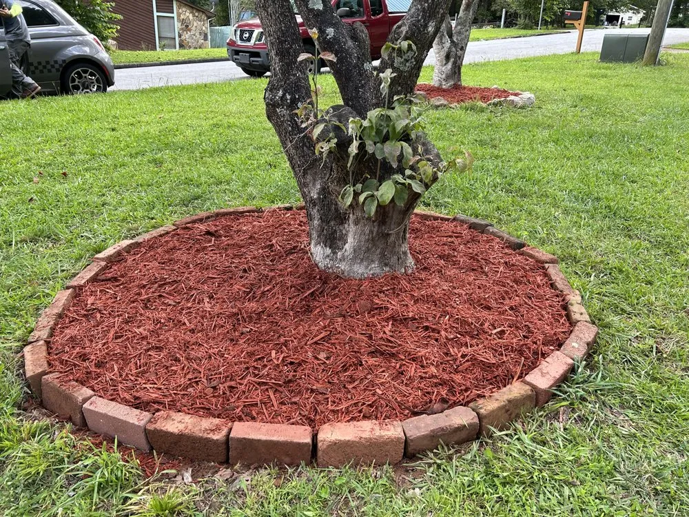 Local yard cleanup service in McDonough, GA - Helping Hands Landscaping