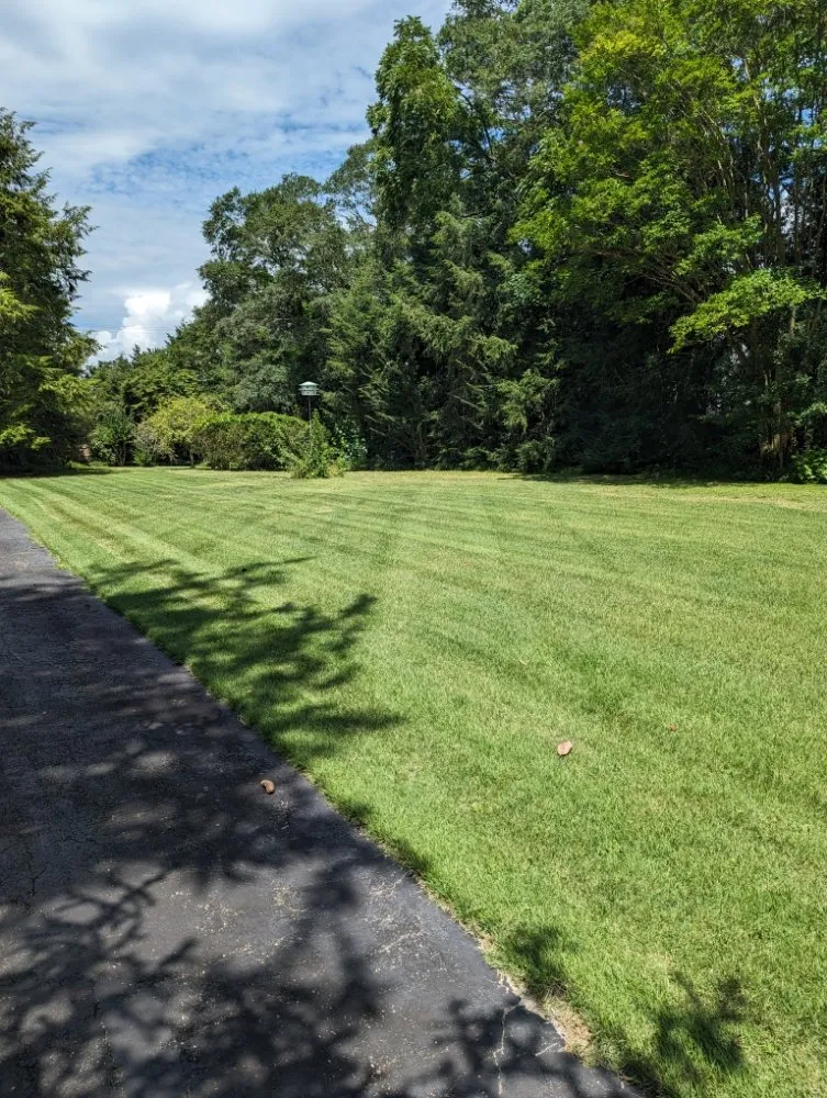 Affordable lawn care service in Tyaskin, MD - Helping Hands Landscaping