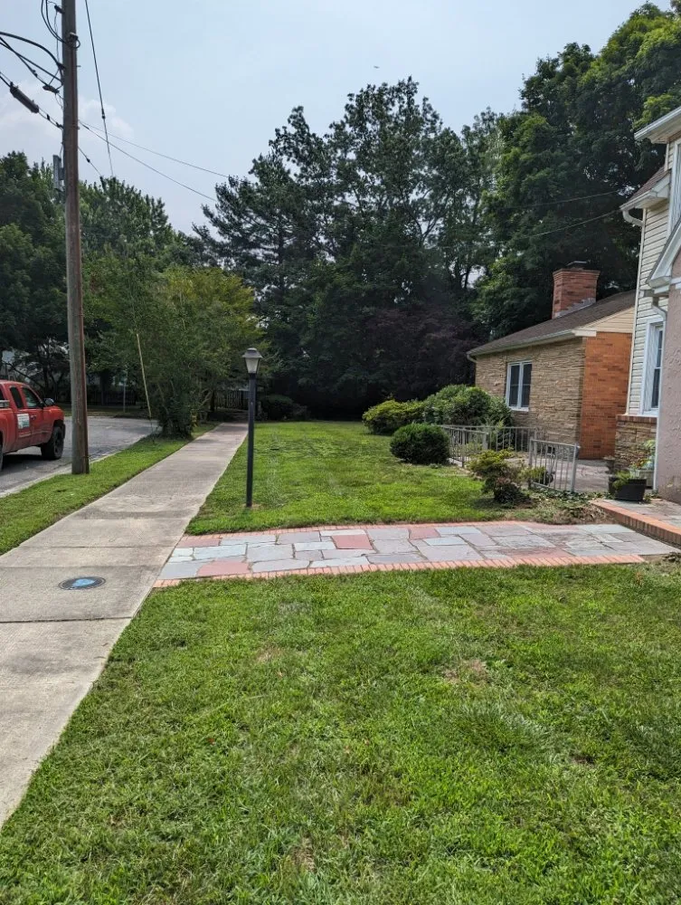 Top-rated landscape design for year-round maintenance in Tyaskin, MD by Helping Hands Landscaping