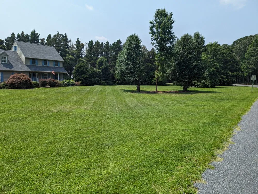 Professional lawn care service experts serving Tyaskin, MD - Helping Hands Landscaping