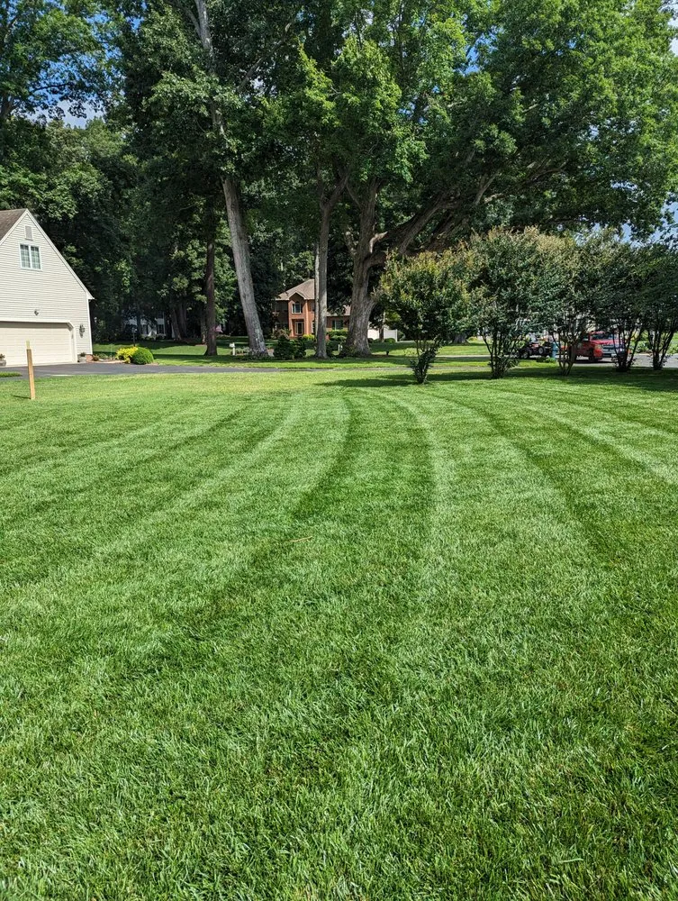 Top-rated landscape design experts serving Tyaskin, MD - Helping Hands Landscaping
