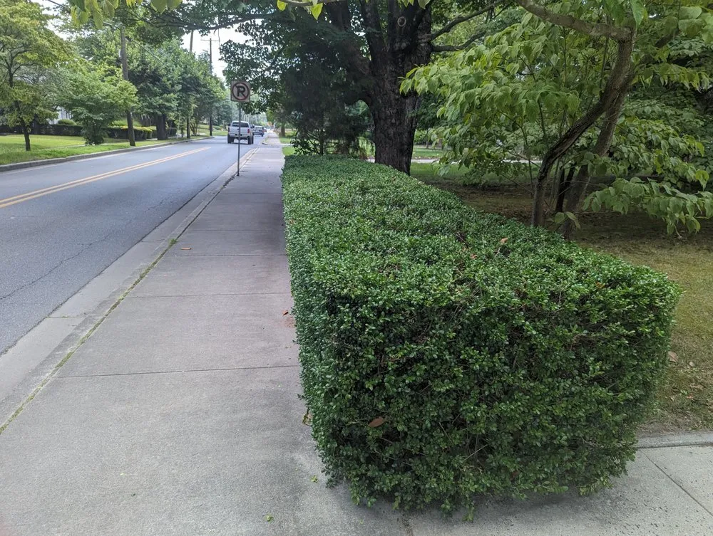 Trusted garden landscaping experts serving Tyaskin, MD - Helping Hands Landscaping