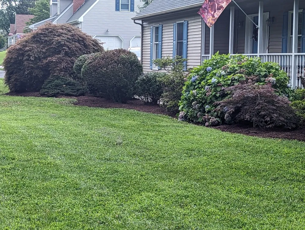 Top-rated yard cleanup service in Tyaskin, MD - Helping Hands Landscaping