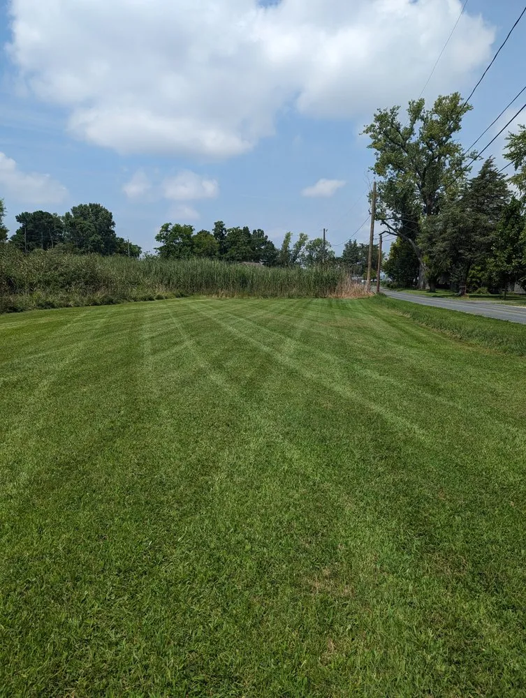 Trusted lawn care service for residential properties across Tyaskin, MD - Helping Hands Landscaping