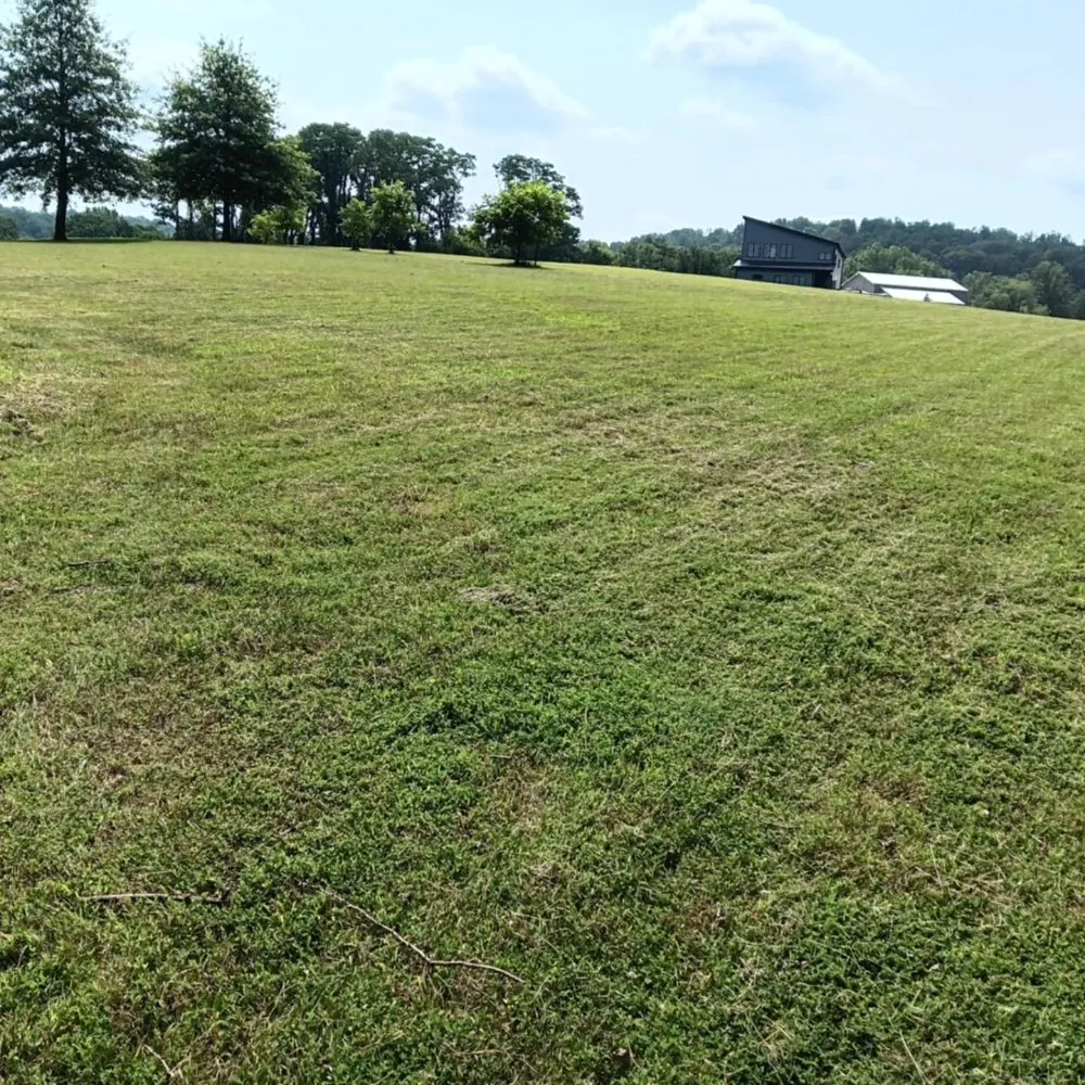 Custom residential landscaping for residential properties across Solsberry, IN - Helping Hands Lawn and Landscape